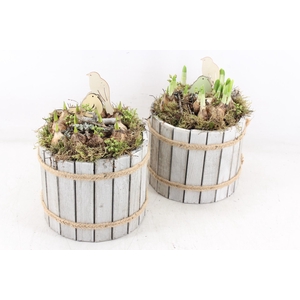 arr4 Bollenmix MB - Hout ton white wash