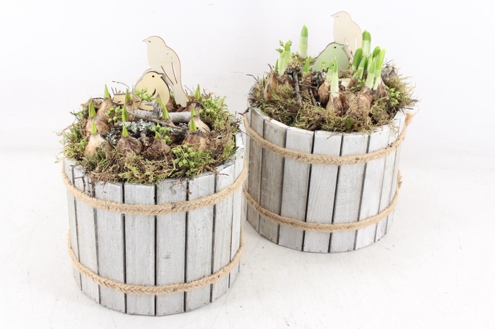 <h4>arr4 Bollenmix MB - Hout ton white wash</h4>