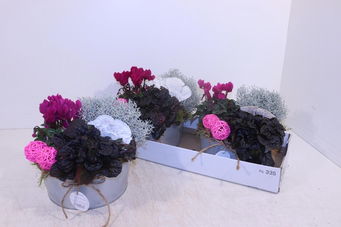 <h4>ARR TUINPLANTEN</h4>