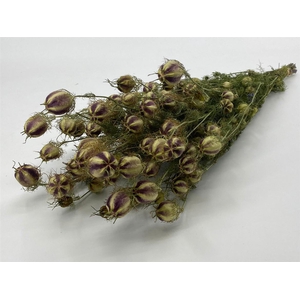 Dried Nigella Natural Bunch