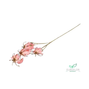 SILK FLOWERS - GLORIOSA PINK 87CM