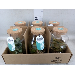 Arr.    Planten  L%