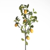 AF Lemon Branch L120cm Yellow