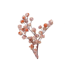 Dried Artz Bougainvillea Mondriaan Bunch