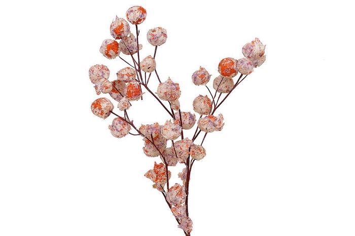 <h4>Dried Artz Bougainvillea Mondriaan Bunch</h4>