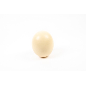 Egg ostrich 12pcs / half box