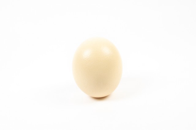 Egg ostrich 12pcs / half box