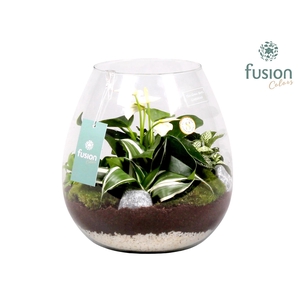 Green Bottle Abby Large met Arrrangement