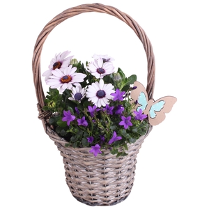 Spring Flower Arr. Outdoor Willow Handle Basket Ø18cm 2PP
