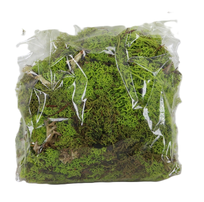 <h4>MOSSEN OV H%</h4>