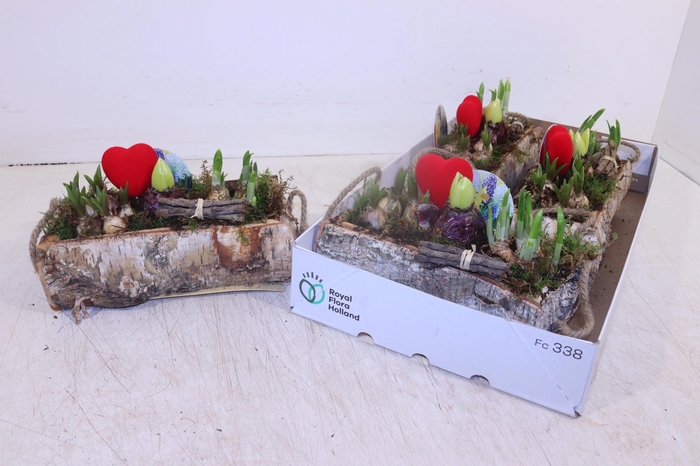 <h4>ARR BOL KNOLGEWAS</h4>