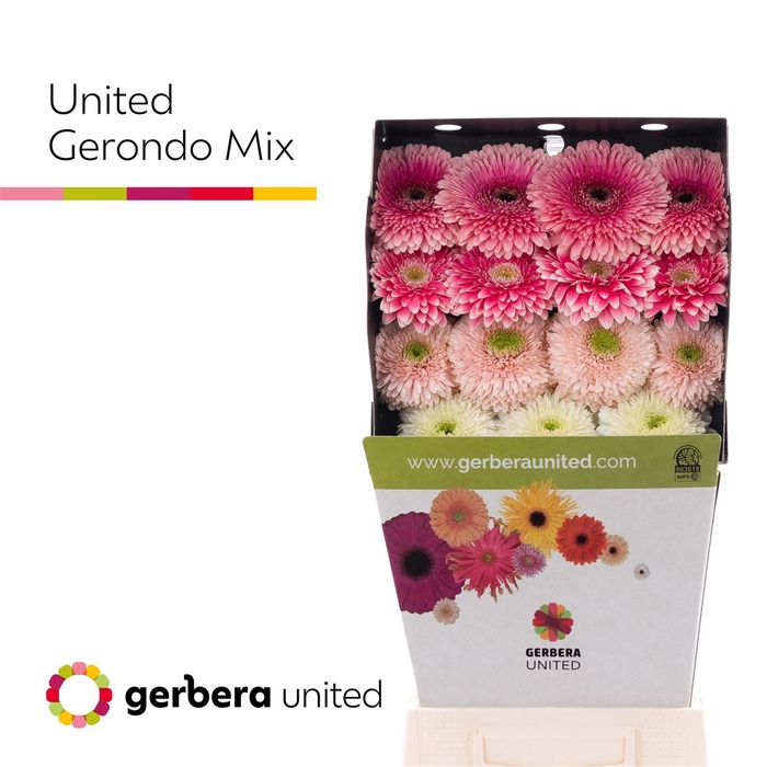 <h4>Ge Gb Gerondo Mix</h4>