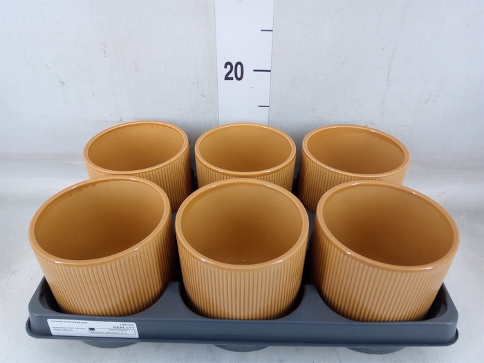 <h4>Pot   ...Keramische H%</h4>