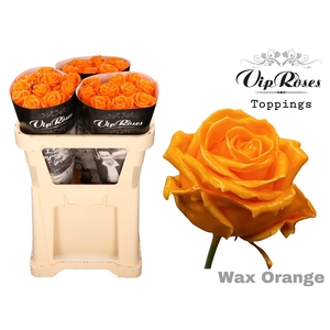 R Gr Wax Orange X30 998