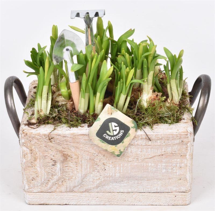 <h4>Hout rechthoek met handvat 20x13cm</h4>