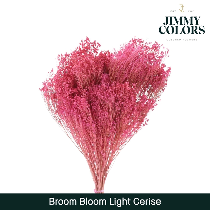 <h4>Broom Bloom Light Cerise</h4>