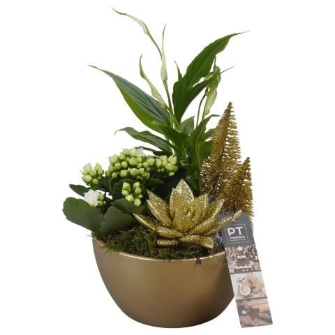 <h4>PTCHG5605 Arrangement Christmas Gold in keramiek s</h4>