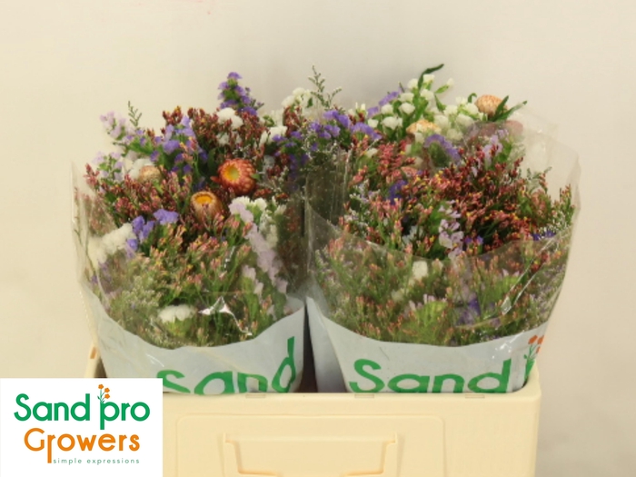 <h4>GEM ZOMERBOEKET</h4>