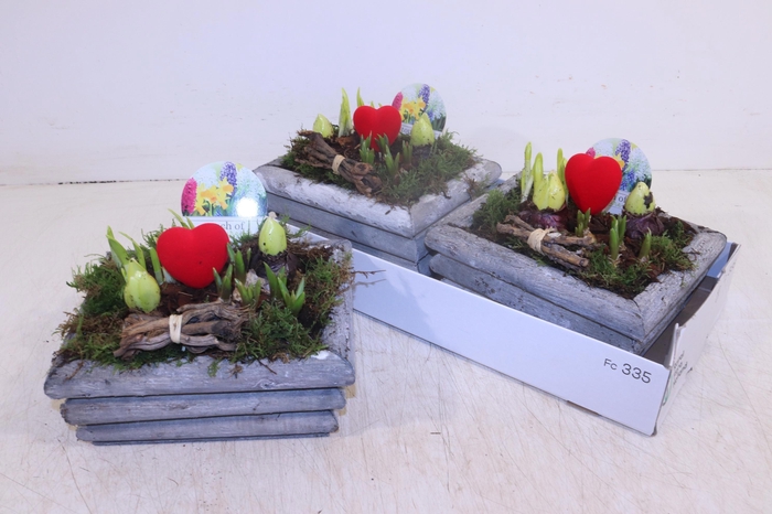 <h4>ARR BOL KNOLGEWAS</h4>