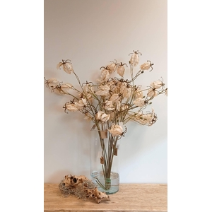 BRANCH GLORIOSA L87 white