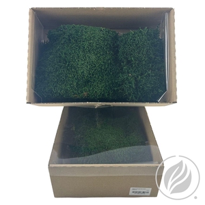 Lappenmos Preserved Midden Groen X 6