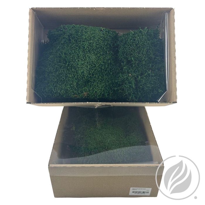 <h4>Lappenmos Preserved Midden Groen X 6</h4>