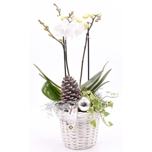 Wilg bloempot wit 18cm