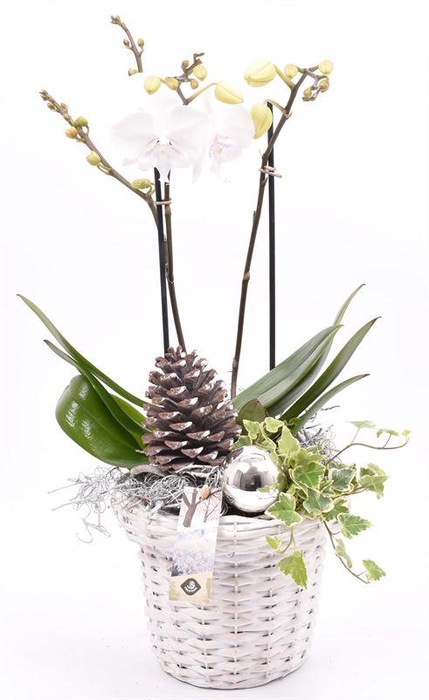 <h4>Wilg bloempot wit 18cm</h4>