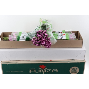 Di St Royal Damascus Box