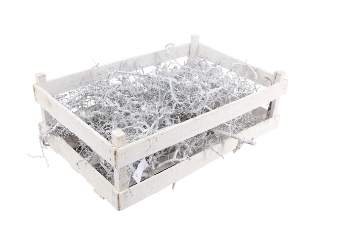 Bonsai Wooden Box White