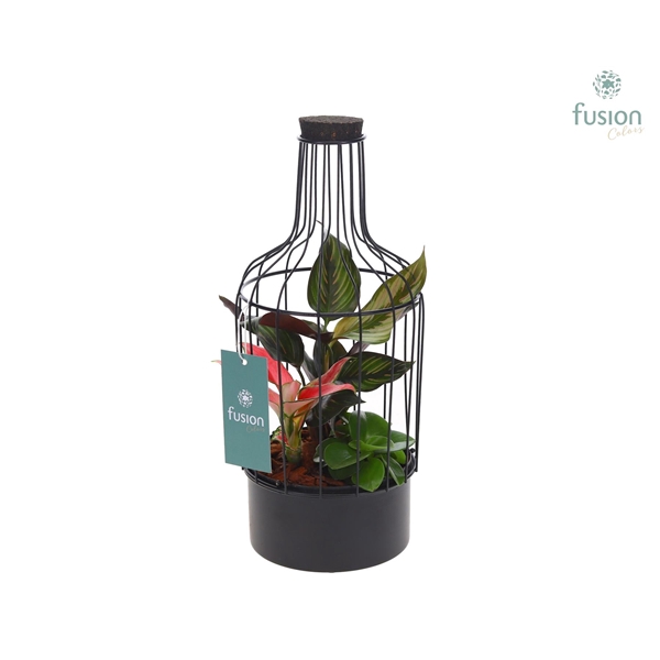 <h4>Fles metaal zwart Small met groene planten</h4>