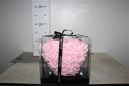 Hart Klein Rose 15 Cm