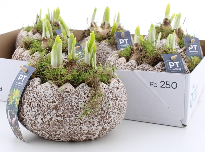 <h4>ARR N TETE A TETE</h4>