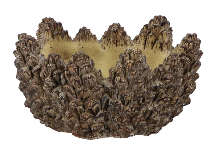 <h4>Concrete Natural Pinecone Bowl Round Edge 24x24x12cm Nm</h4>