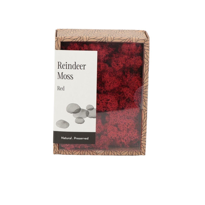 <h4>Ijslandmos (reindeer) Red - Box S</h4>