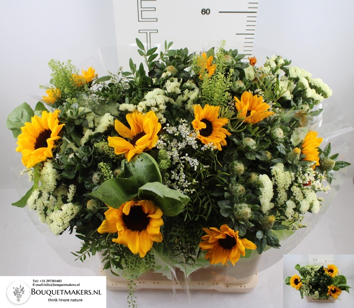 <h4>GEM BOEKET OV</h4>