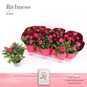 Potroos Donker Roze P10,5 Dolc'Amore® Metallic