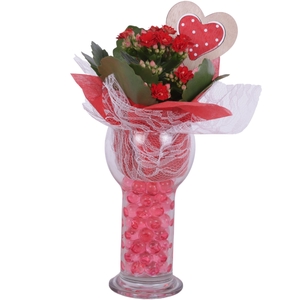 Valentine Arr. Indoor Glass Sphere Cylinder Vase Ø09cm 1PP