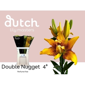 Li La Double Nugget