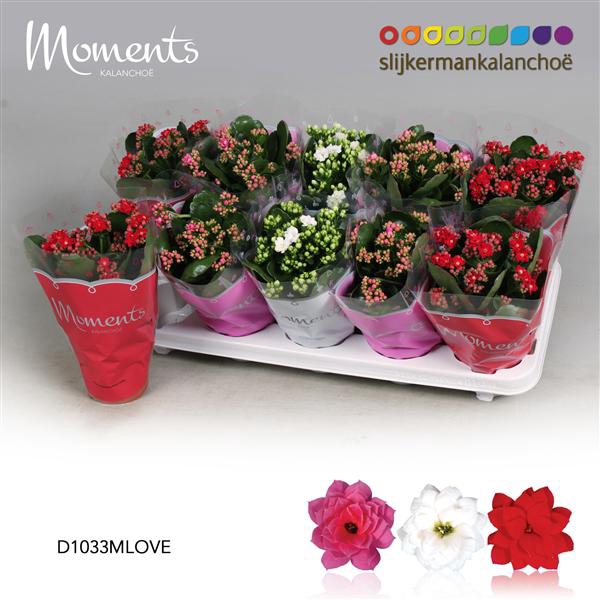 <h4>Kal bf Moments Love Mix</h4>