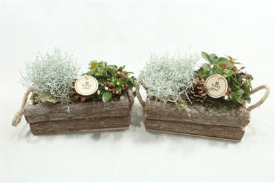 <h4>2728 SCHORS BAK RH AMAR</h4>