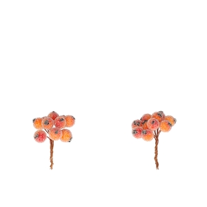 Autumn Berry frosted/wire d1cm x120