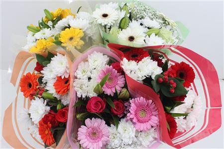 <h4>Boeket 3 Roos 3 Germini Mix</h4>