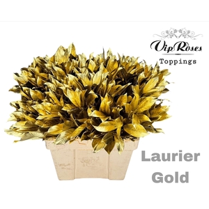 LAURIER GOLD