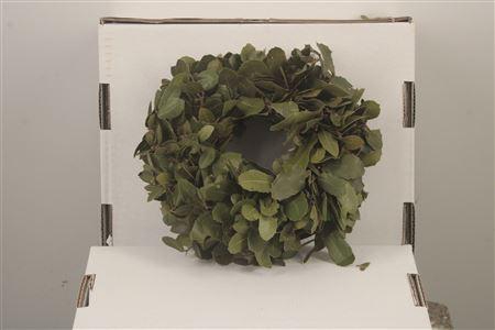 <h4>Wreath Steeneik Naturel 15cm</h4>