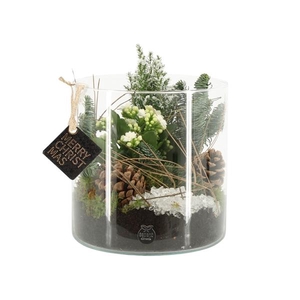 61713: X-mas arrangement