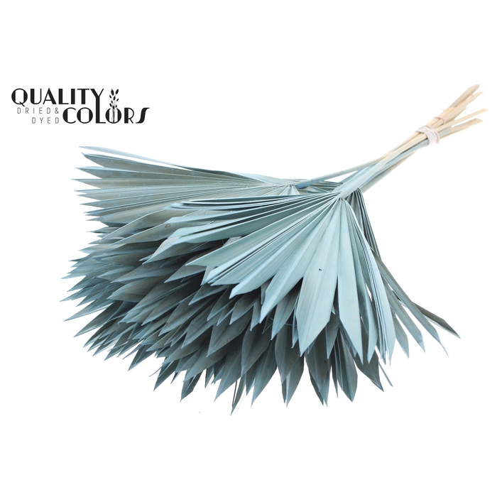 <h4>Sun Spear per stem Frosted Light Blue</h4>
