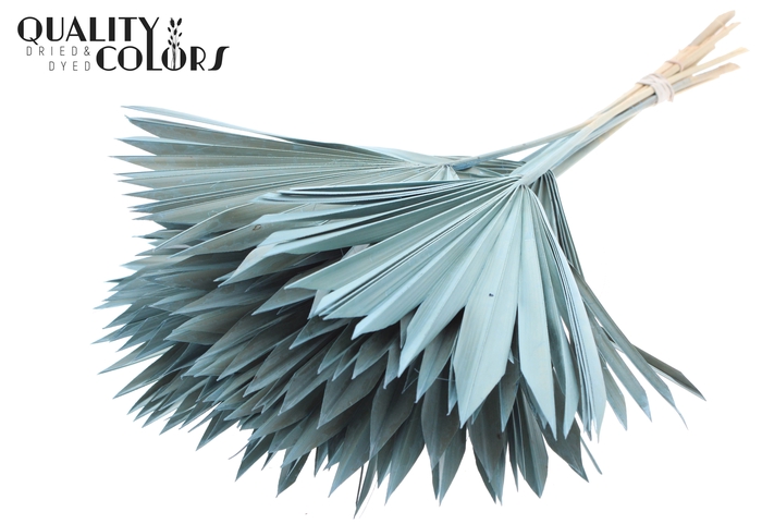 Sun Spear per stem Frosted Light Blue