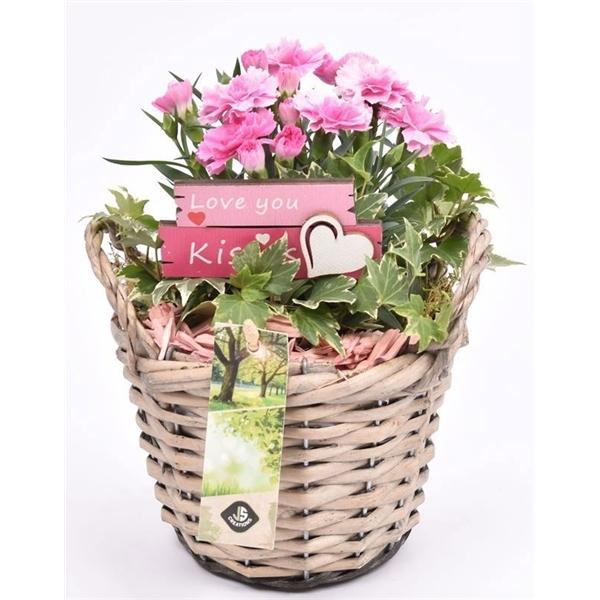 <h4>Wilg mand grijs met oor 14cm</h4>