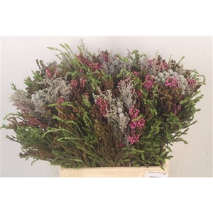 Erica Bqt Cape Mix Naturel